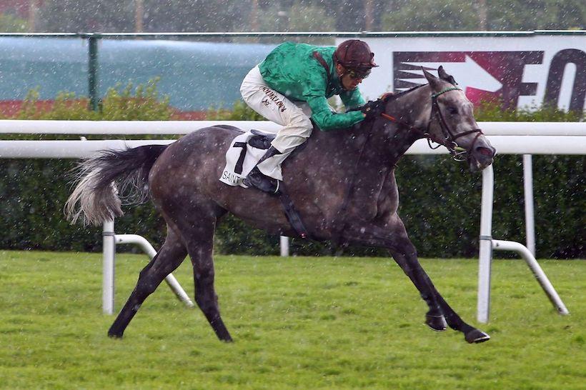 Maiden winners weekly (June 5-11)