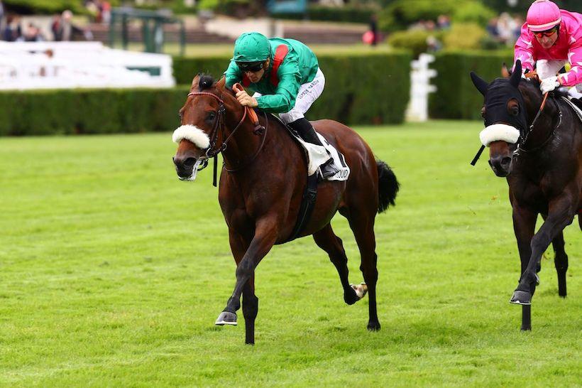 Grand Prix de Saint-Cloud : A first Gr1 for Zarkava'a 4yo son Zarak