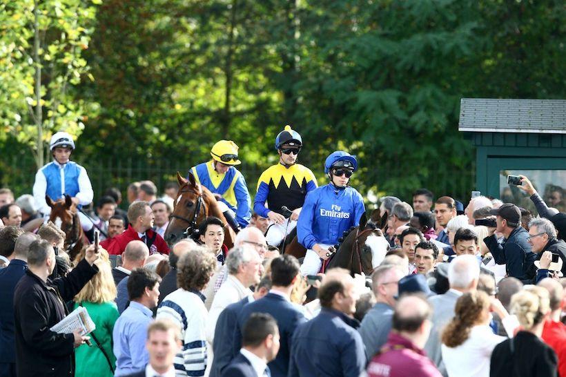 Qatar Prix de l'Arc de Triomphe : le casting Qatar Prix de l'Arc de Triomphe : le casting