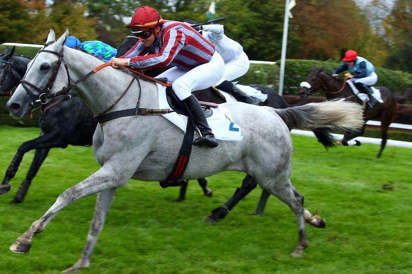 Dimanche à Auteuil : les promesses de l'automne