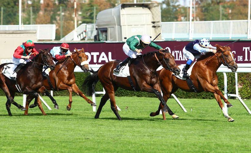 Les gagnants de maiden (25/9-1/10) Les gagnants de maiden (25/9-1/10)