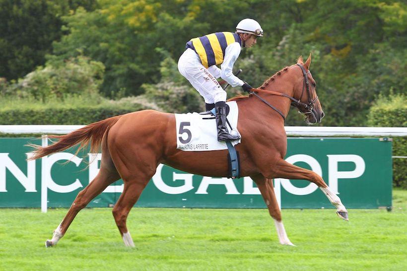 Les français Laurens et Gailo Chop se distinguent à l'international