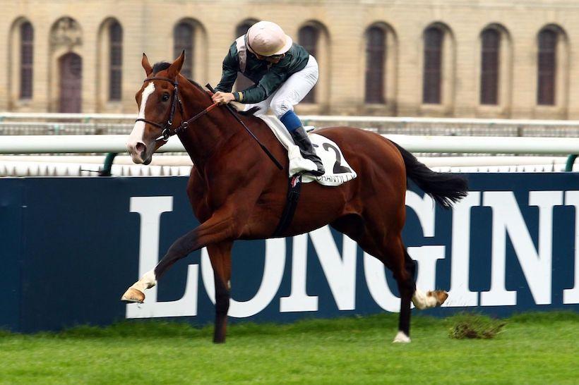 Les gagnants de maiden (9-15/10) Les gagnants de maiden (9-15/10)