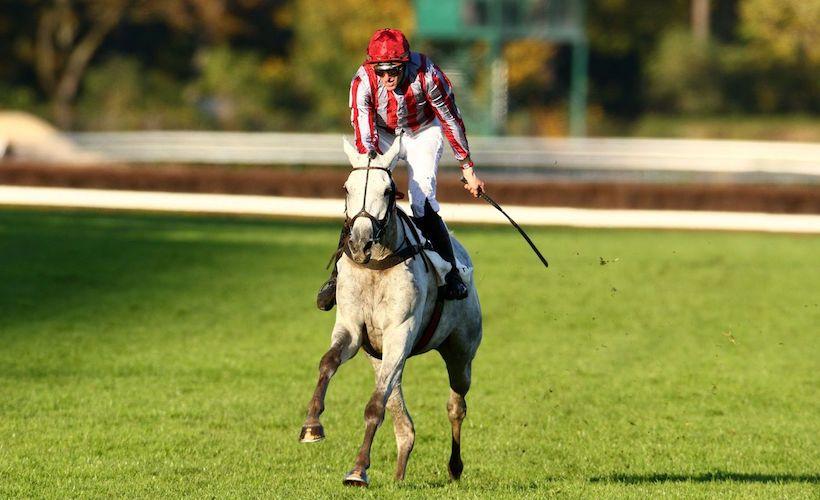 Bipolaire et l'écurie Macaire en vedette à Auteuil