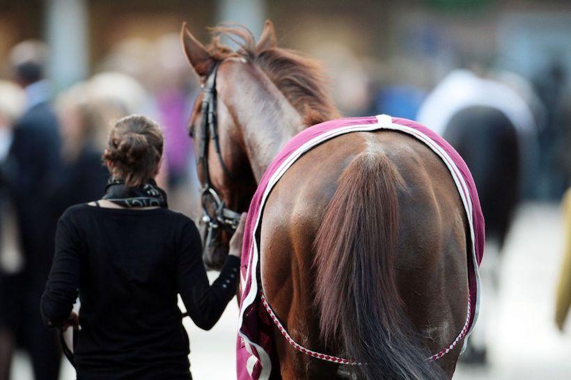 Primes, indemnités, poids : tout ce qui a changé dans les Conditions Générales 2018