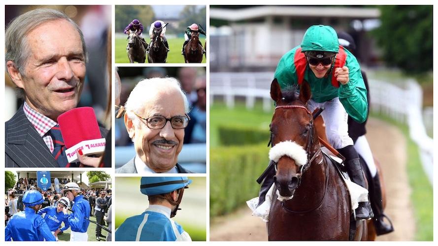 Plat : les grands gagnants de l'année 2017