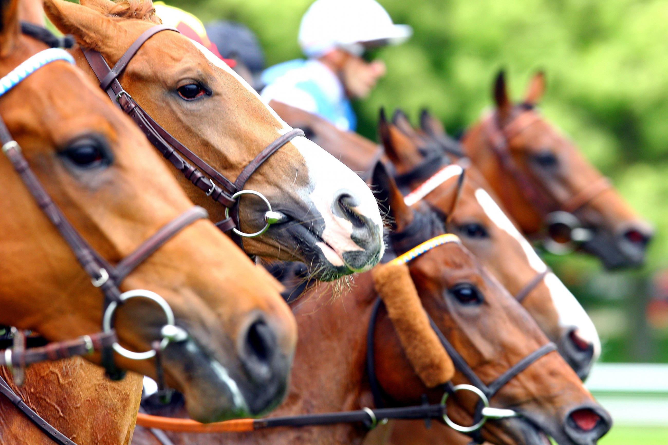 Le délai d’obtention des agréments diminue