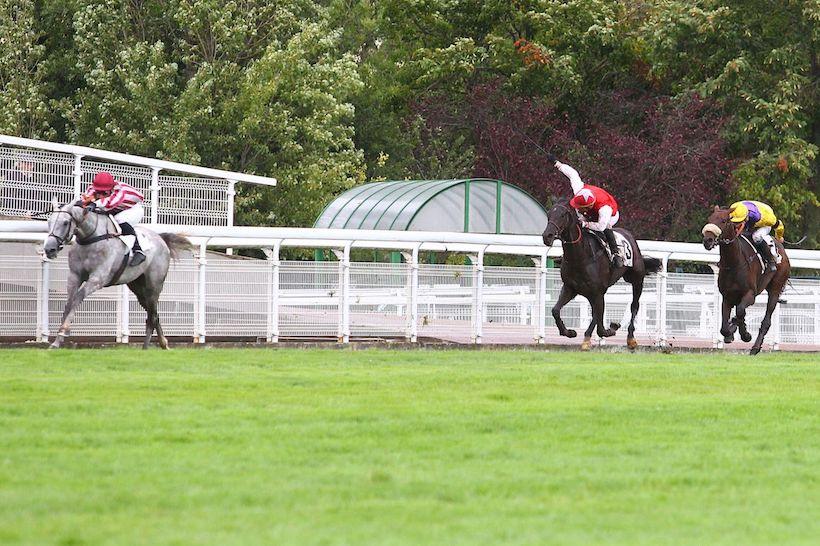Les français se distinguent à quatre semaines du Festival de Cheltenham