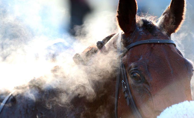 Annulation de la réunion du mardi 27 février 2018 à Auteuil et report des courses