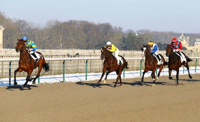 Les nouveaux gagnants de maiden (1-11/2)