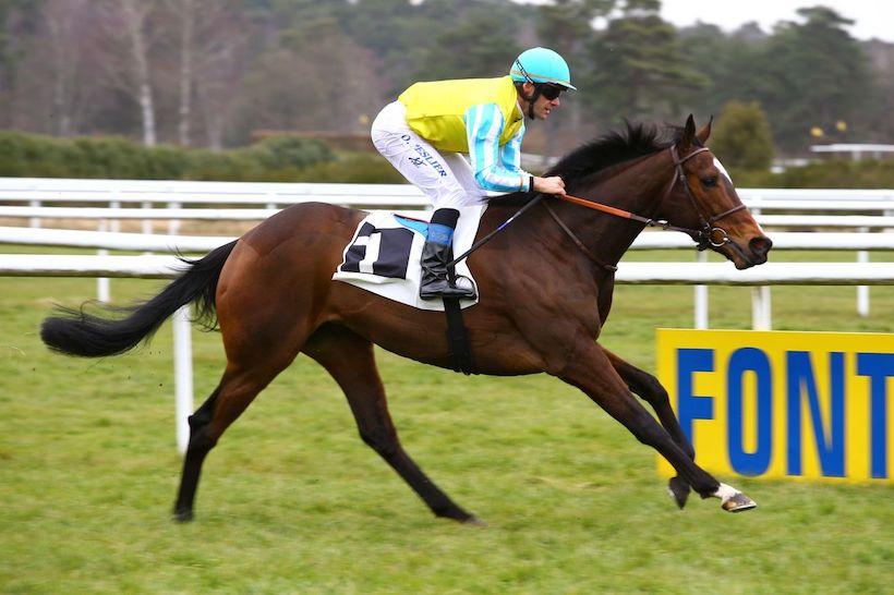 March Maiden Winners Update