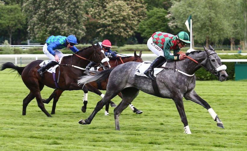 Edward d'Argent dans la course au Grand Steeple