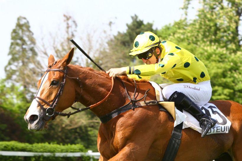 Le gersois Balkan du Pécos est le nouveau Président d'Auteuil Le gersois Balkan du Pécos est le nouveau Président d'Auteuil