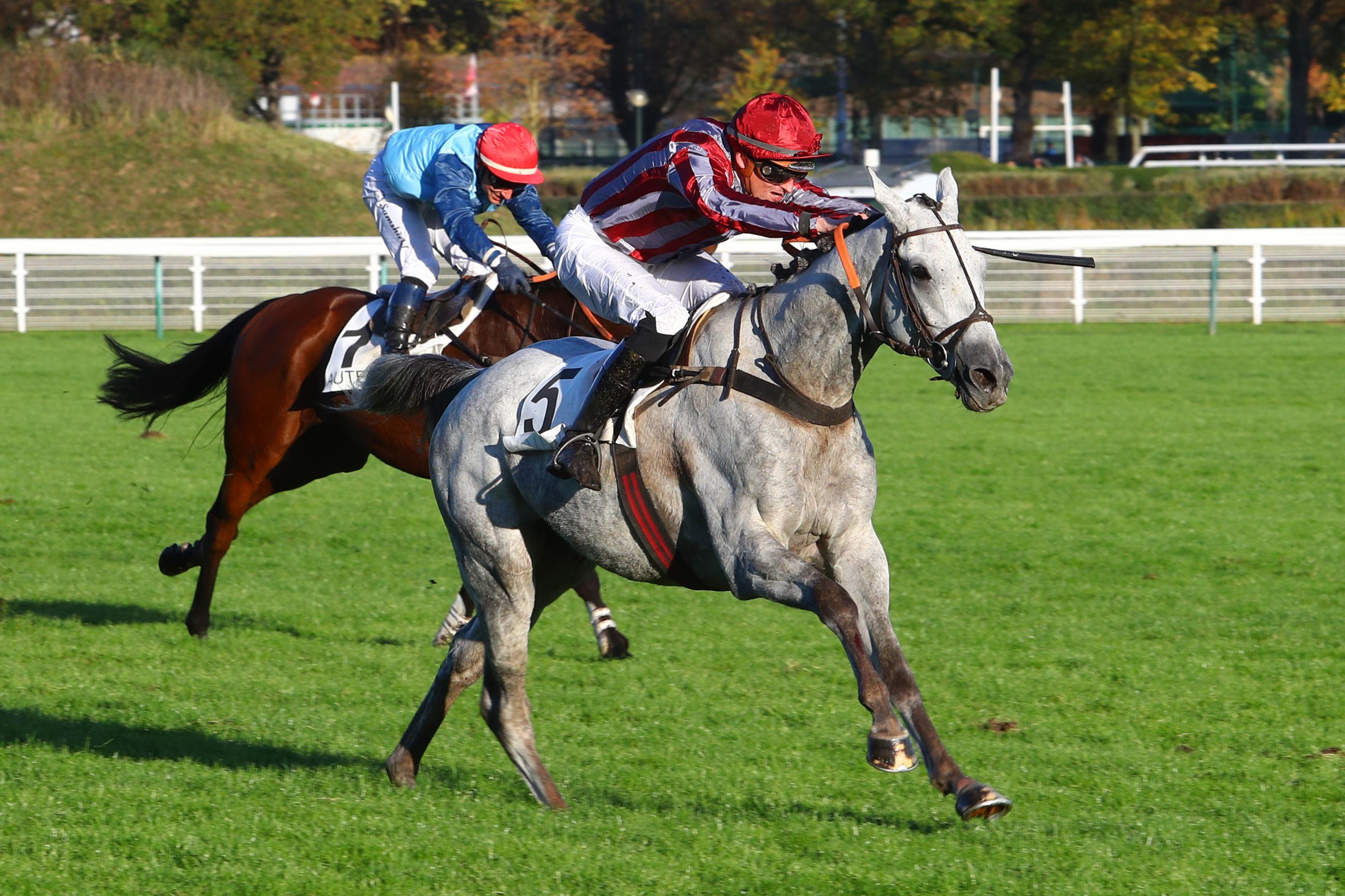 Un Prix Murat de haut vol Un Prix Murat de haut vol