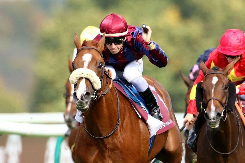 En route pour l'Optionnal de ParisLongchamp En route pour l'Optionnal de ParisLongchamp