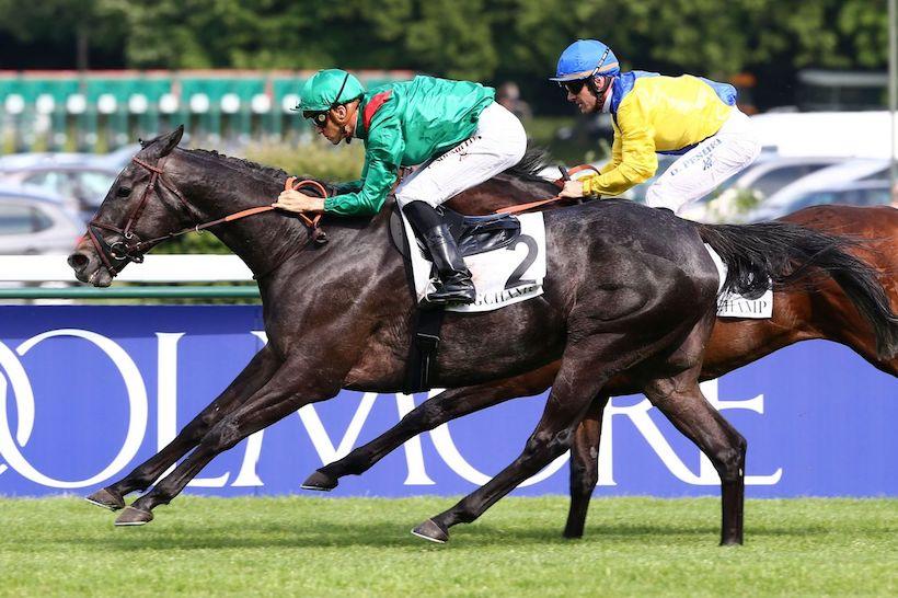 Prix Vicomtesse Vigier : Vazirabad au sommet de son art