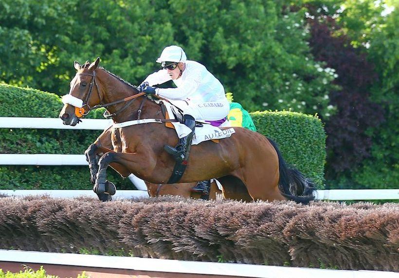 L'Ovalie gagne aux courses L'Ovalie gagne aux courses