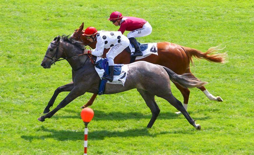 Les gagnants de maiden en mai Les gagnants de maiden en mai