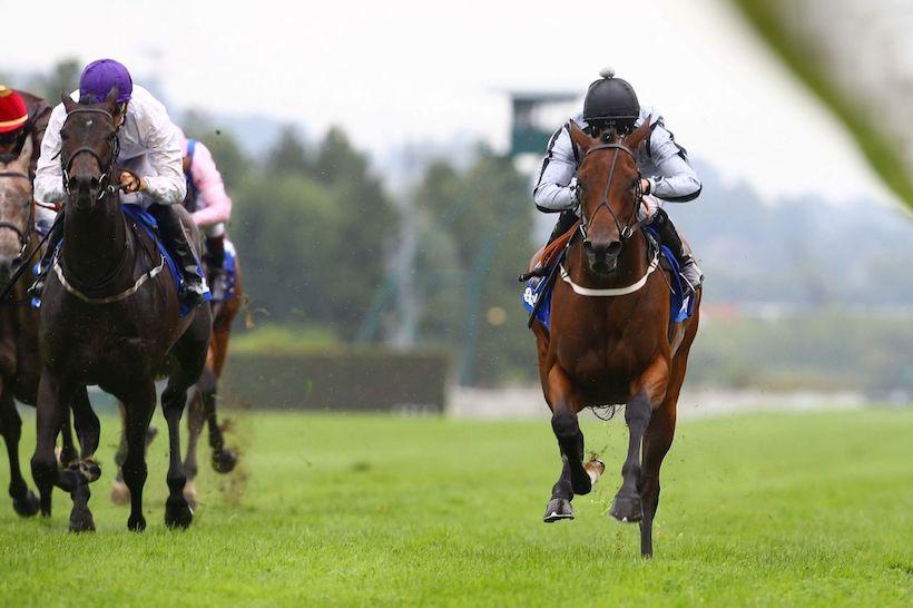 #DarleySeries : l'anglaise Comedy gagne la deuxième étape #DarleySeries : l'anglaise Comedy gagne la deuxième étape