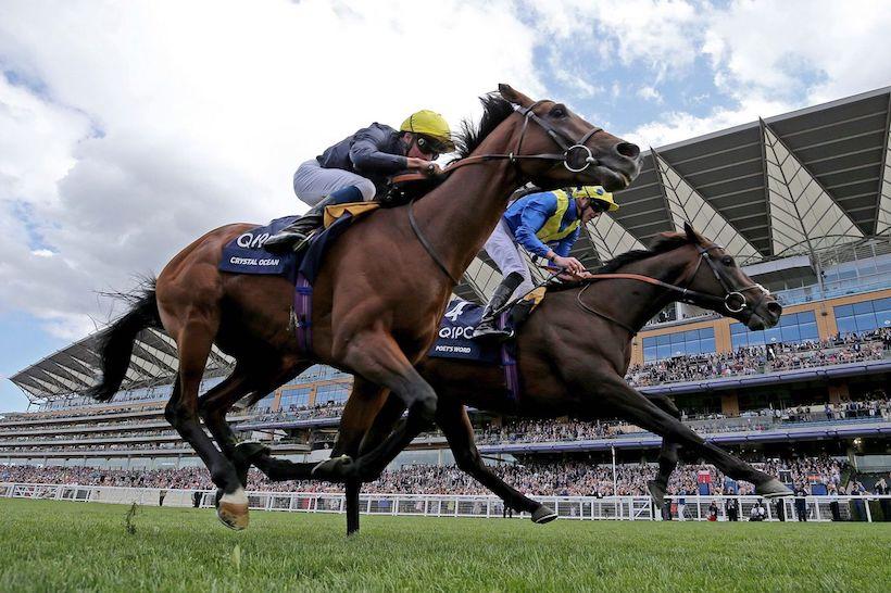 #ArcRoad : Poet’s Word remporte l’Arc anglais #ArcRoad : Poet’s Word remporte l’Arc anglais