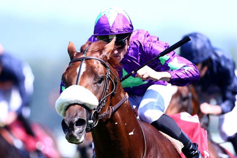 Intellogent a le dernier mot