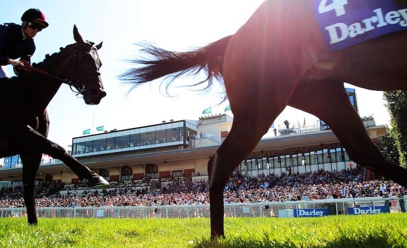 #DarleySeries : 31 engagés dans le Darley Prix de Cabourg #DarleySeries : 31 engagés dans le Darley Prix de Cabourg