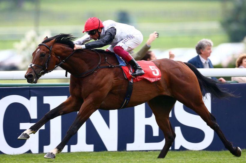 #ArcRoad : Cracksman se préserve en vue du Qatar Prix de l’Arc de Triomphe #ArcRoad : Cracksman se préserve en vue du Qatar Prix de l’Arc de Triomphe