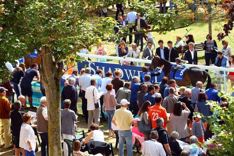Le Meeting de Deauville Barrière 2018 dans les boîtes de départ ! Le Meeting de Deauville Barrière 2018 dans les boîtes de départ !