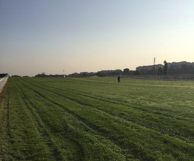 Rentrée à Auteuil Rentrée à Auteuil
