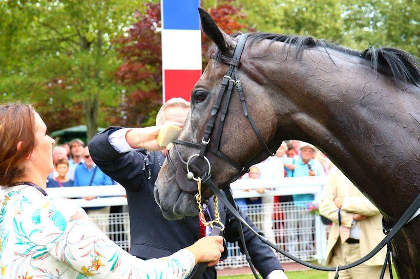 Alpha Centauri crowned best miler in Europe