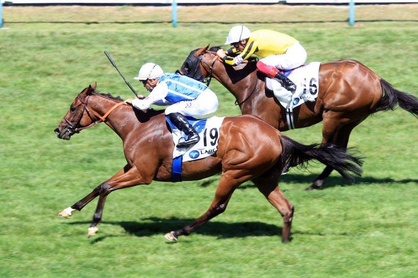 Polydream reaches new heights on her home turf