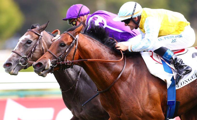 Recoletos, champion du continent Recoletos, champion du continent