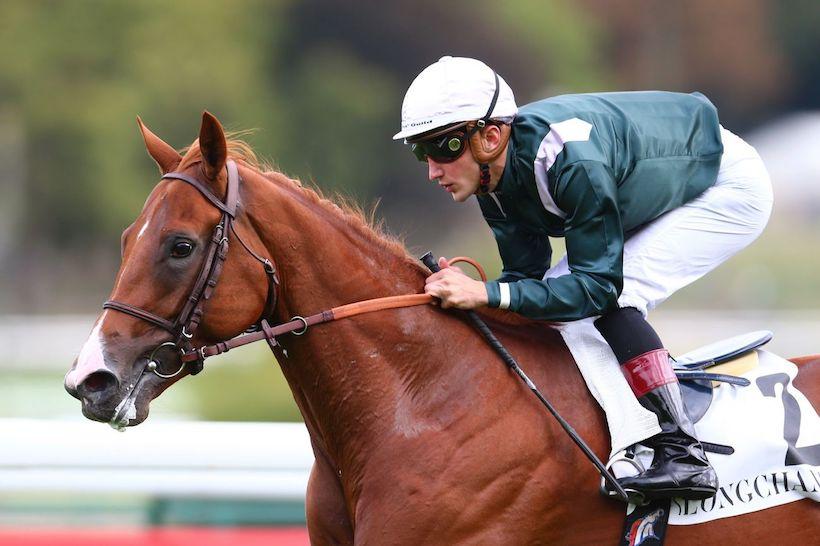 Factfiles : Qatar Prix Jean-Luc Lagardère 2018