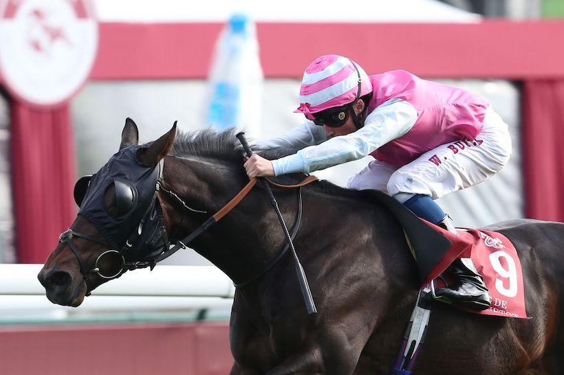 Haras de Bouquetot - Critérium de la Vente d’Octobre Arqana : Master Brewer décroche la cagnotte