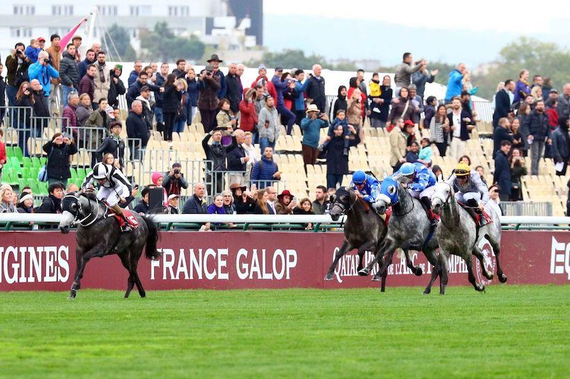 Qatar Arabian World Cup: the Polish surprise