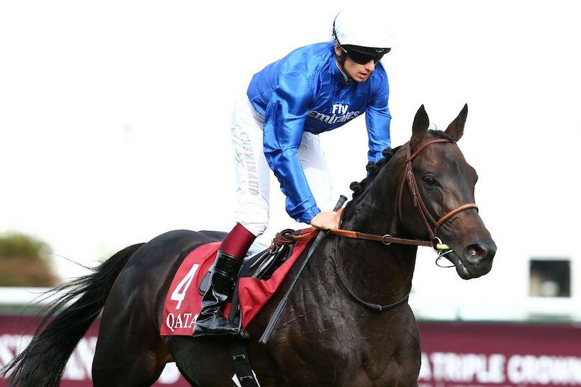 Cloth of Stars au sommet des chevaux d'âge français