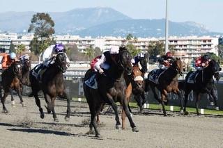 Pump Pump Palace confirme à Cagnes Pump Pump Palace confirme à Cagnes