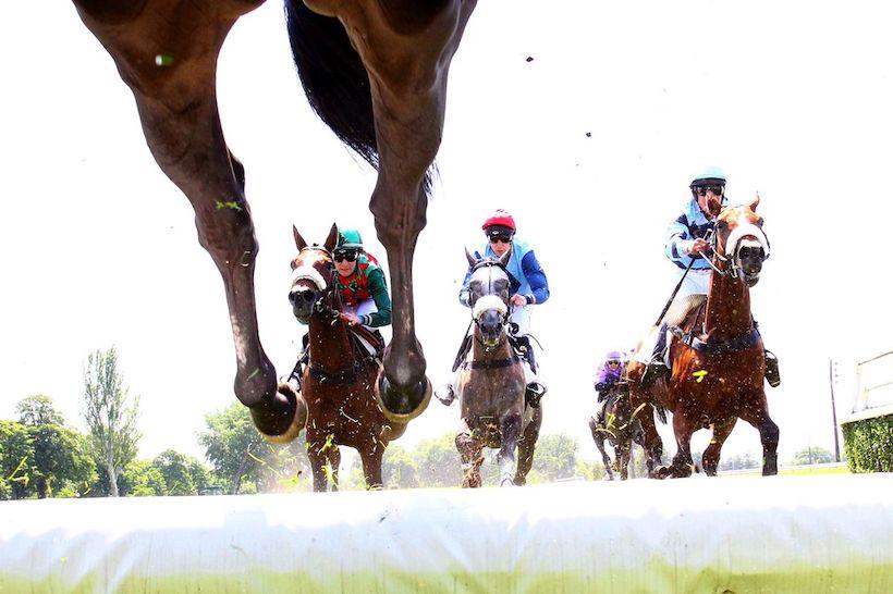 Le programme du premier semestre à Auteuil
