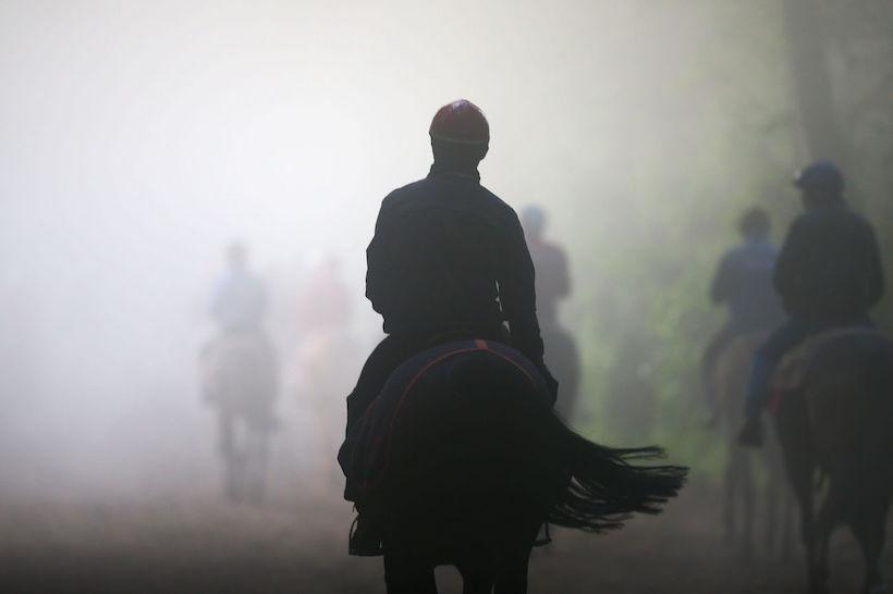 Grippe équine : renforcement des mesures sanitaires