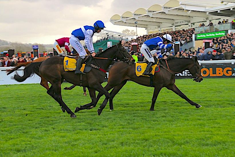 La razzia des Français continue à Cheltenham La razzia des Français continue à Cheltenham