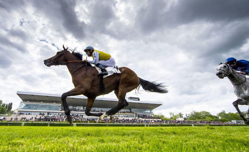 Gros bouquet dans le Prix du Muguet