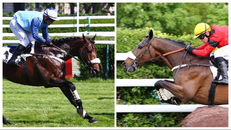 Goliath and Feu Follet well seated on top of 4yo squad Goliath and Feu Follet well seated on top of 4yo squad