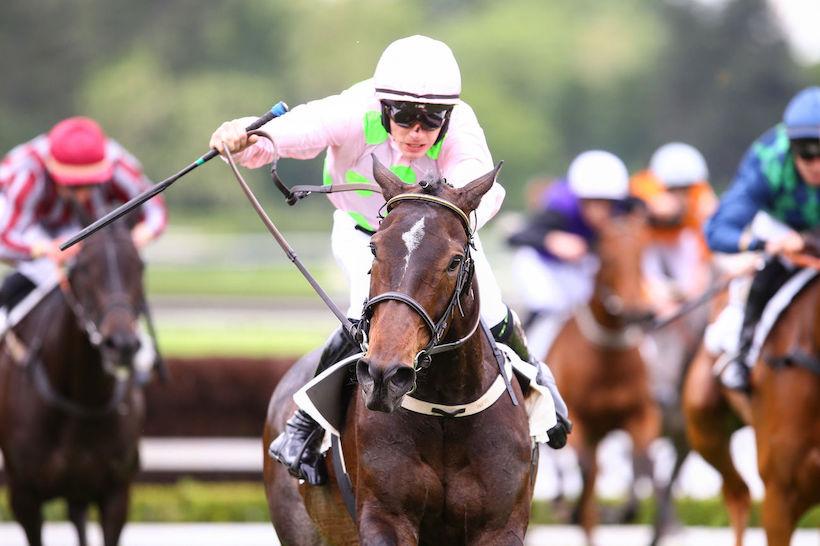 Bénie des Dieux takes De Bon Cœur down in French top Hurdle race