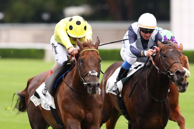 Ispahan : Zabeel Prince, jeune 6 ans