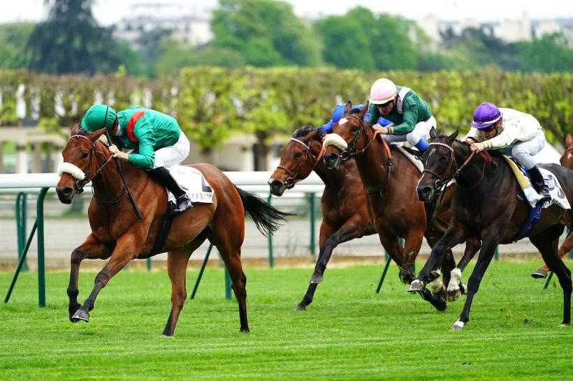 Grand dimanche à ParisLongchamp avec Siyarafina en vedette