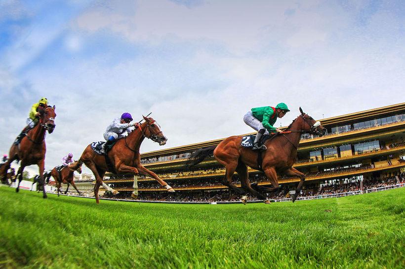 Saint-Alary : Siyarafina gets the job done