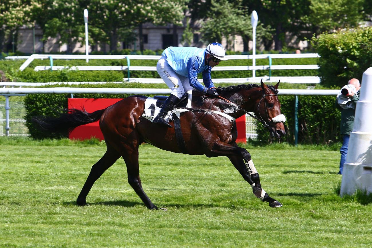 Prix Ferdinand Dufaure : Les nouveaux rivaux de Goliath