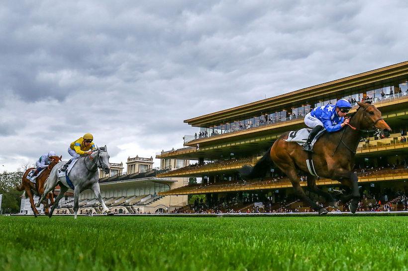 Vicomtesse Vigier : new deal in stayers' brigade Vicomtesse Vigier : new deal in stayers' brigade