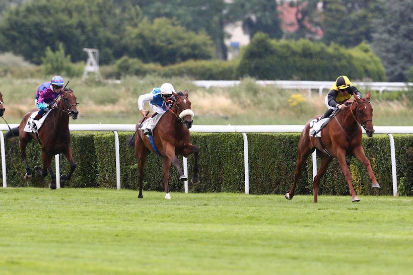 Malleret : In between Oaks