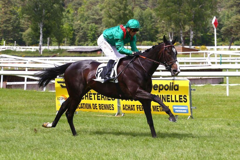 Arqana Chloé : Room for hope